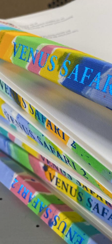 Livre "Vénus Safari N°2" de Christophe de Fierlant & Eric Ceccarini 50 €