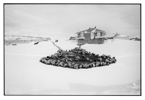 PHOTOGRAPHIE DE MATTHIEU CHAZAL - Série 'LEVANT" - Aux environs d'Ardahan - Anatolie orientale - Turquie - 2014