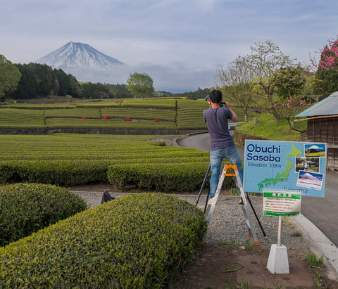 "Japon, Fujishi, les plantations de thé et le photographe" Photographie d'Éric Bénard