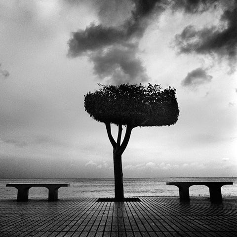 "Rain" photographie de Mitar Terzic - Série "Lemuria"