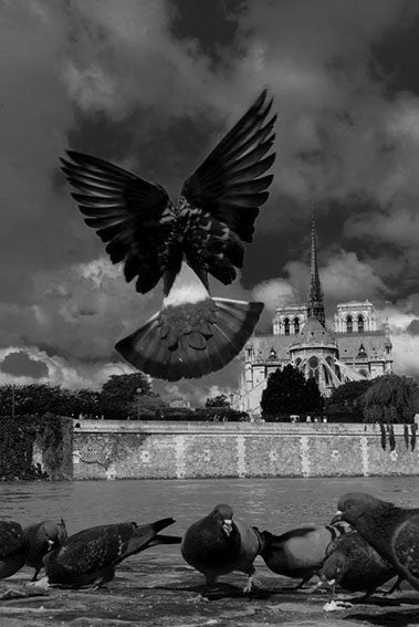 Série Paris Lumière Noire - photographie de Michel Setboun "Paris à vol d'oiseau"