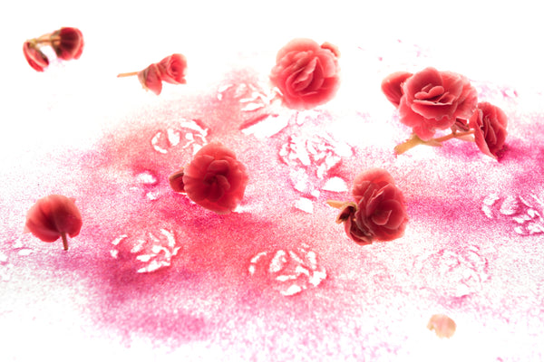 Photographie de fleurs par Anna Shumanskaia - Colours 3