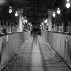 Série Attractions nocturnes - "Zèbre (un caméléon dans la ville)" Photographie de Nicolas Auvray