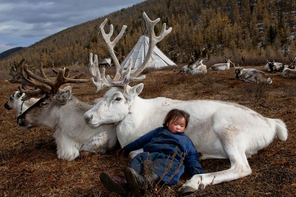 Deer Totem - West Taiga - Mongolia - Photographie de Hamid Sardar