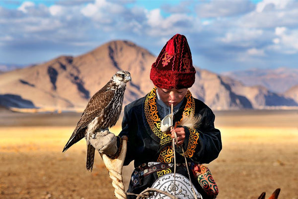 Young falcon, Deloun Highlands, Olgii Province - Mongolia - Photographie de Hamid Sardar