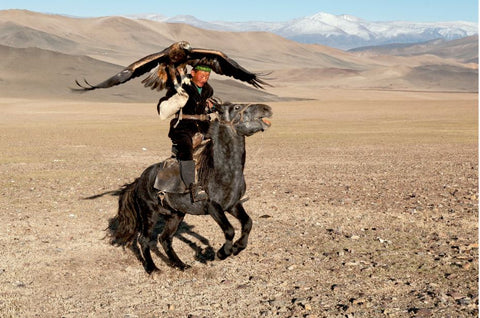 Black Pegasus - Olgii - Mongolia - Photographie de Hamid Sardar