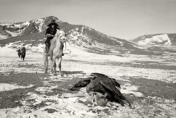 Eagles on Wolf, Deloun Highlands, Olgii Province - Mongolia - Photographie de Hamid Sardar