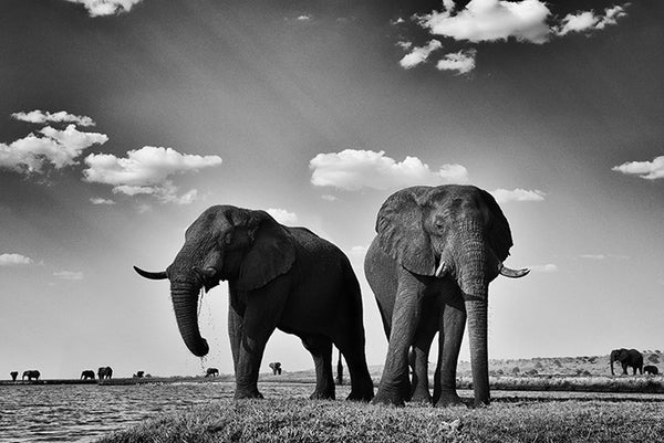 "Monument" - Botswana - Photographie de Philippe Alexandre Chevallier