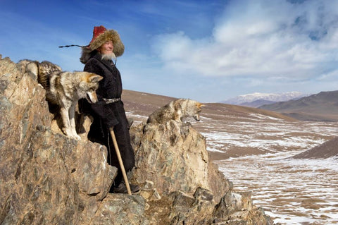 Taipak’s Wolves Deloun Highlands, Olgii  Province - Mongolia - Photographie de Hamid Sardar
