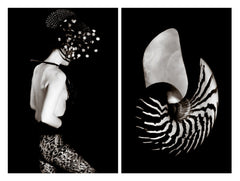 Série Arabesque Nocturne - photographie "Le nautile" - Diptyque  de Jasmine Durand