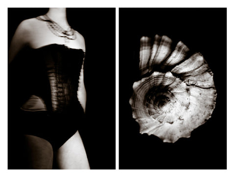 Série Arabesque nocturne - photographie "Spirale de la coquille" - Diptyque  de Jasmine Durand