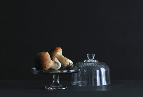 Photographie de Francesca Mantovani "Les cepes" série Natures Vives