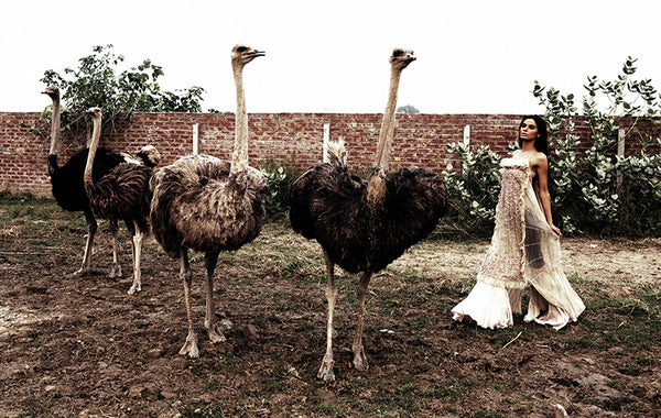 Photographie de Sarah Caron "Neha et les autruches" - Pakistan