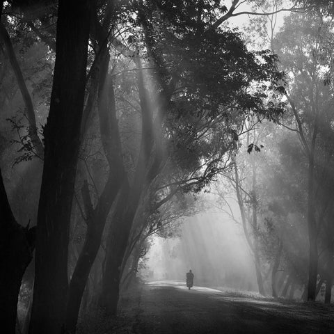 "Route dans la brume" Photographie de Yvan Travert
