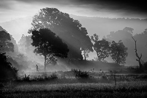 "Paysage de brume" Photographie de Yvan Travert - Série Marche doucement sur la terre