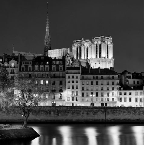 Série Attractions nocturnes "Notre Dame de Paris" photographie de Nicolas Auvray