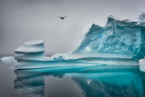 Groenland - Scoresby Sund VII - Photographie de Philippe Alexandre Chevallier