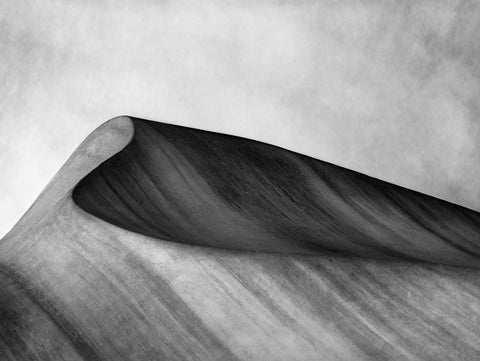 "La Pedrera 6" Photographie de Sandrine Rousseau, série « Sand and Stone »