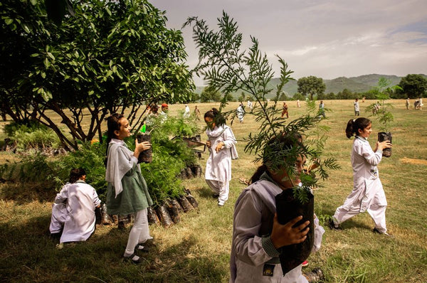 Série Pakistan - Planter des arbres ! - Photographie de Sarah Caron