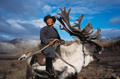 Shaman Matriarch, West Taiga - Mongolia - Photographie de Hamid Sardar