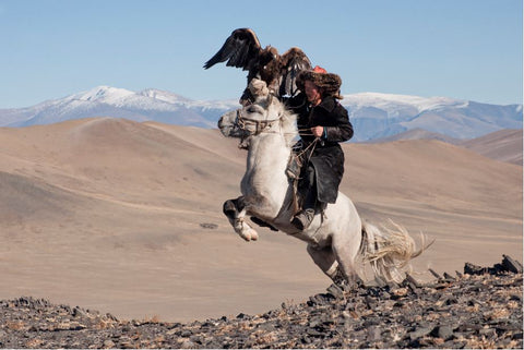 White Pegasus - Olgii - Mongolia - Photographie de Hamid Sardar
