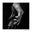 Sophie Le Roux - Le Jazz au bout des doigts - "Kyle Eastwood"